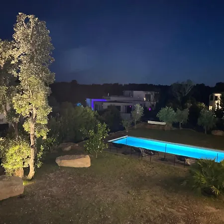 A Cupulata * 维琪奥港