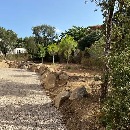 A Cupulata