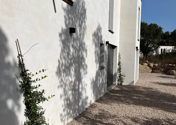 A Cupulata 维琪奥港