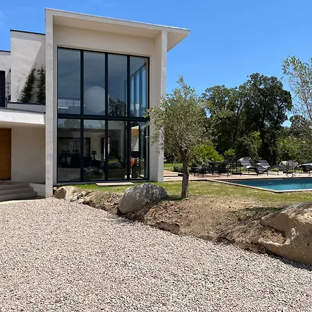 A Cupulata * 维琪奥港