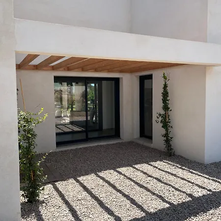 A Cupulata * 维琪奥港